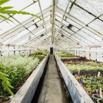 Обігрів теплиці: ефективні способи підтримання тепла протягом усього сезону