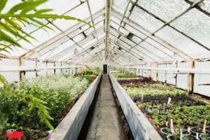 Обігрів теплиці: ефективні способи підтримання тепла протягом усього сезону