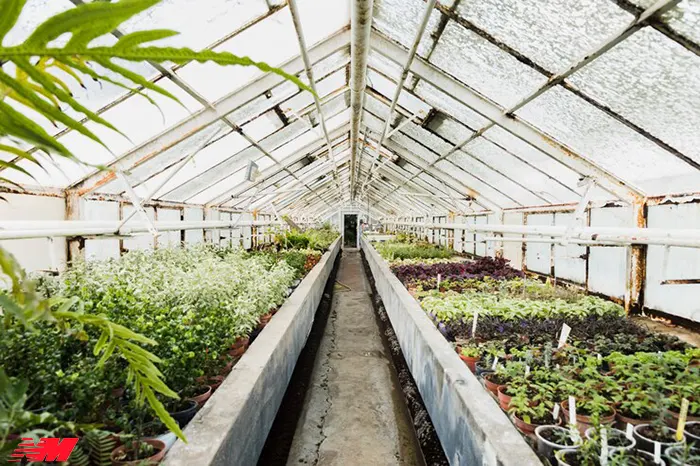 Обігрів теплиці: ефективні способи підтримання тепла протягом усього сезону